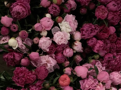 flowers2