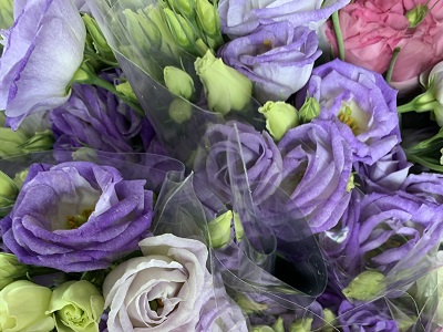 flowers4